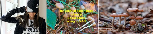 гашик Абаза