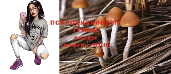 герыч Абинск