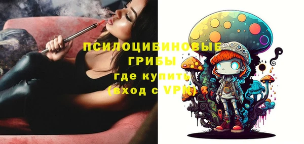 СК Абдулино